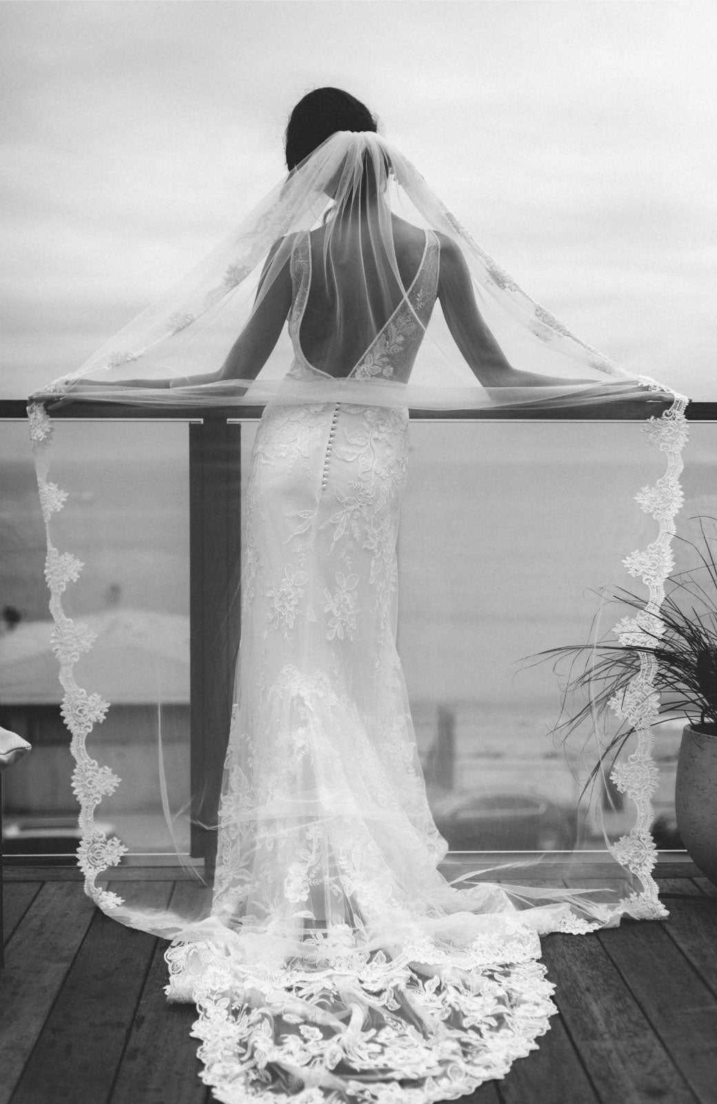 Venetia Lace Wedding Veil - Daphne Newman Design